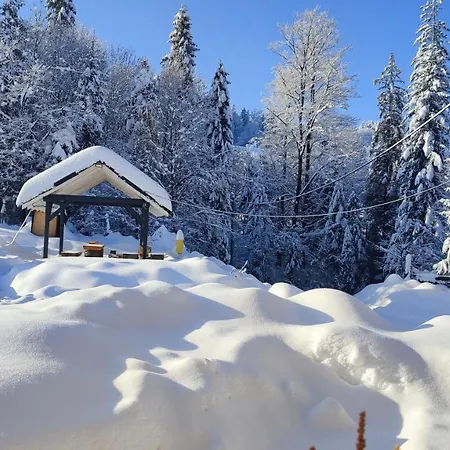 Pierwiosnek - Cisza, Las, Balia I Totalny Relaks - Ucieknij Od Zgielku I Poczuj Spokoj Natury Hébergement de vacances Ustron