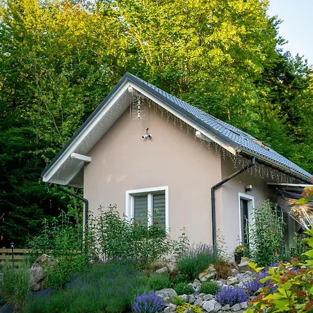 Pierwiosnek - Cisza, Las, Balia I Totalny Relaks - Ucieknij Od Zgielku I Poczuj Spokoj Natury ウストロン