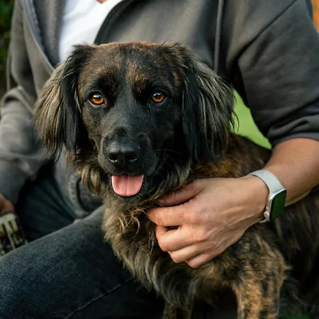 別荘 Pierwiosnek - Cisza, Las, Balia I Totalny Relaks - Ucieknij Od Zgielku I Poczuj Spokoj Natury *