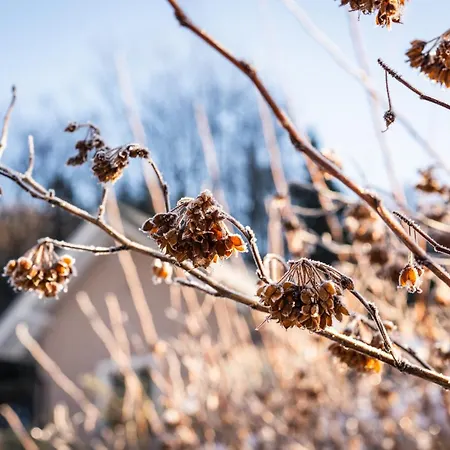 Vakantiehuis Pierwiosnek - Cisza, Las, Balia I Totalny Relaks - Ucieknij Od Zgielku I Poczuj Spokoj Natury
