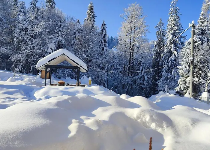 Pierwiosnek - Cisza, Las, Balia I Totalny Relaks - Ucieknij Od Zgielku I Poczuj Spokoj Natury Vakantiehuis Ustroń