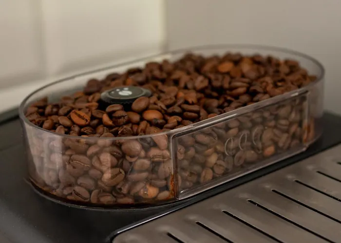 Pierwiosnek - Cisza, Las, Balia I Totalny Relaks - Ucieknij Od Zgielku I Poczuj Spokoj Natury *