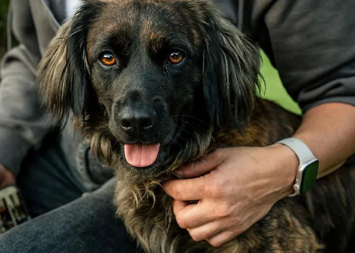 Vakantiehuis Pierwiosnek - Cisza, Las, Balia I Totalny Relaks - Ucieknij Od Zgielku I Poczuj Spokoj Natury *