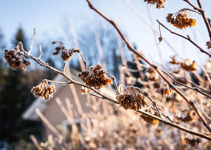 Vakantiehuis Pierwiosnek - Cisza, Las, Balia I Totalny Relaks - Ucieknij Od Zgielku I Poczuj Spokoj Natury